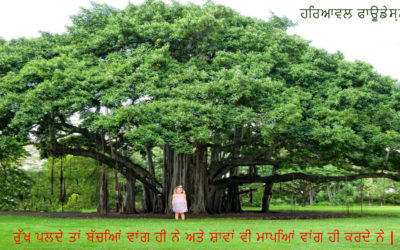 ਰੁੱਖ ਪਲਦੇ ਤਾਂ ਬੱਚਿਆਂ ਵਾਂਗ ਹੀ ਨੇ
