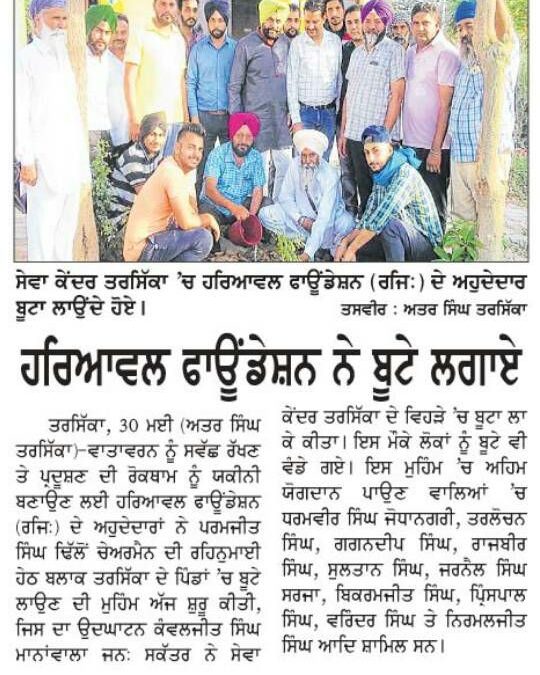 ਹਰਿਆਵਲ ਫੌਂਡੇਸ਼ਨ ਨੇ ਬੂਟੇ ਲਾਏ