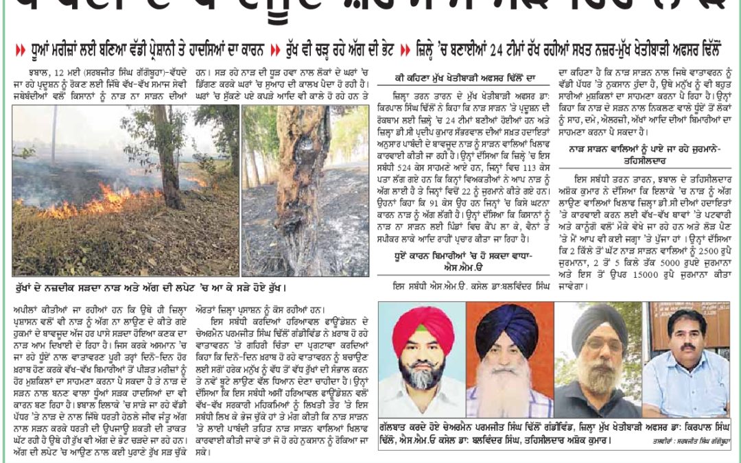 ਪਾਬੰਦੀ ਦੇ ਬਾਵਜੂਦ ਸ਼ਰੇਆਮ ਸੜ ਰਿਹਾ ਨਾੜ |