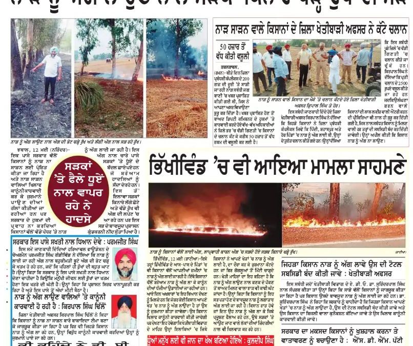 ਨਾੜ ਨੂੰ ਅੱਗ ਲਾਉਣ ਨਾਲ ਨਾਲ ਸੜਕਾਂ ਕਿਨਾਰੇ ਰੁੱਖ ਵੀ ਸੜੇ |