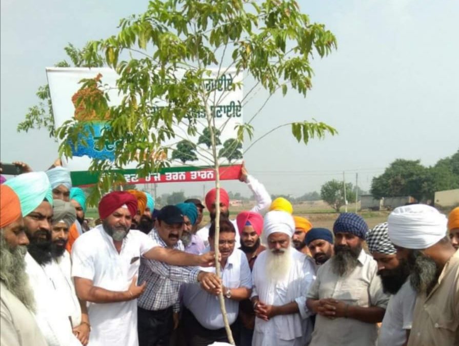 ਰੁੱਖ ਲਗਾਉਣ ਦੀ ਮੁਹਿੰਮ ਸ਼ੁਰੂ |